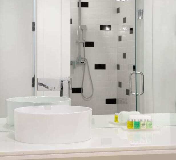 غرفة قياسية, The Vagabond