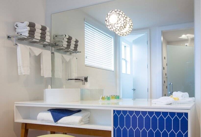 غرفة قياسية, The Vagabond