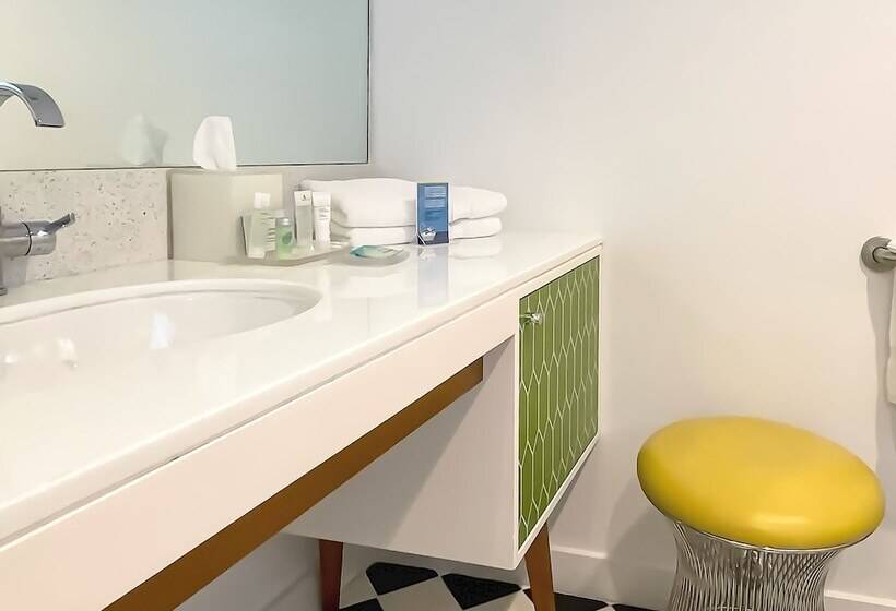 غرفة قياسية سرير كينج لذوى الإحتياجات الخاصة, The Vagabond