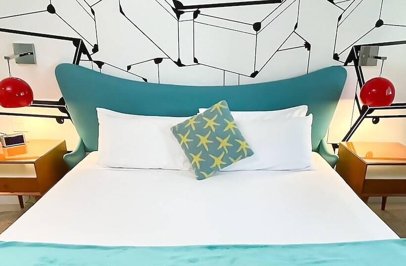 غرفة قياسية سرير كينج لذوى الإحتياجات الخاصة, The Vagabond