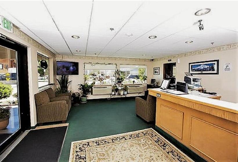 מיטת קינג בסוויטה, Village Inn & Suites Marysville