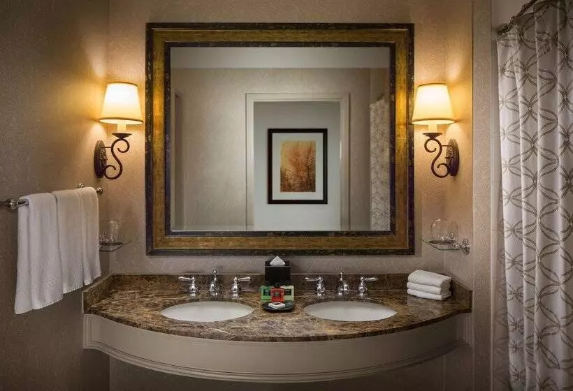 スタンダードスタジオ, Signia by Hilton La Cantera Resort & Spa