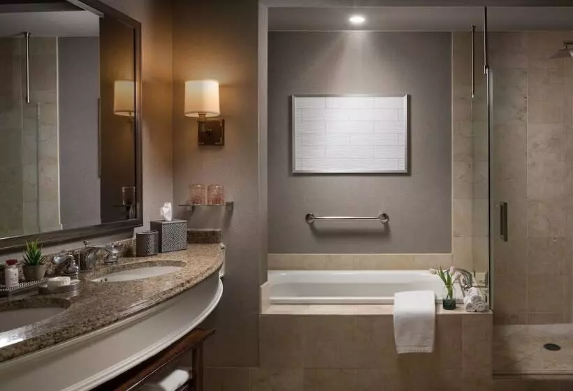 ビラホテル1ベッドルーム, Signia by Hilton La Cantera Resort & Spa