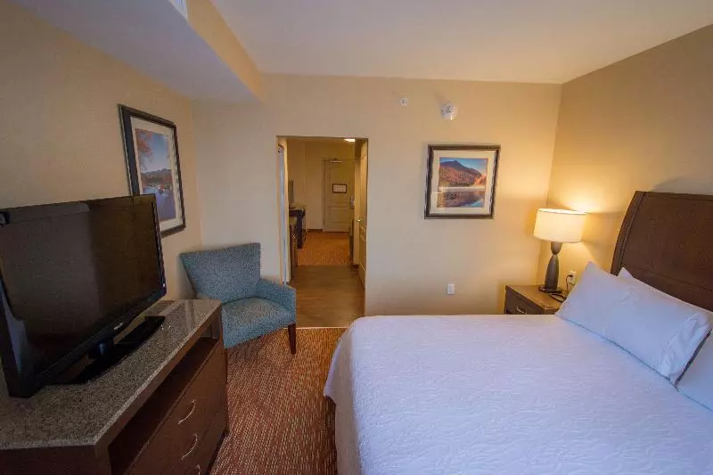 プールビュージュニアスイート, Signia by Hilton La Cantera Resort & Spa