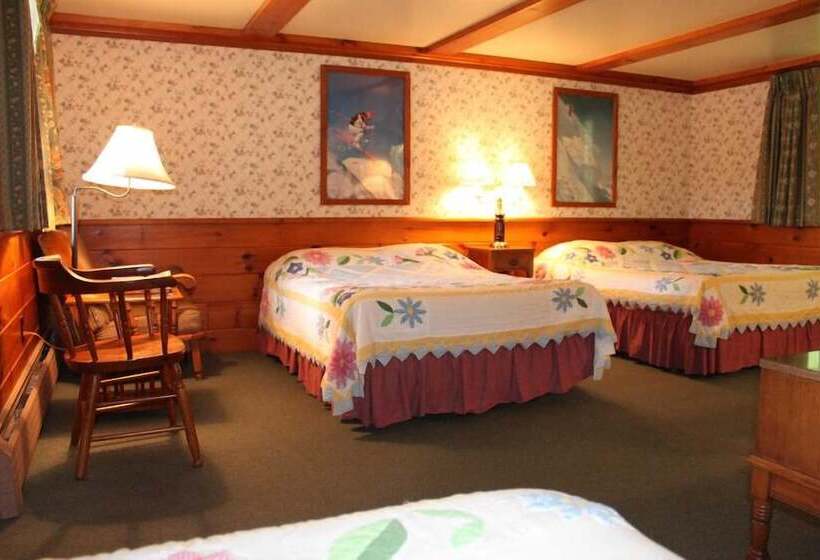 ダブルベッドスタンダードルーム, White Trellis Motel