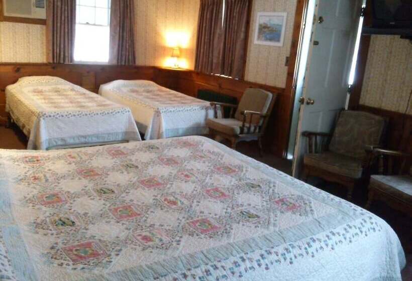 Номер Стандарт, White Trellis Motel