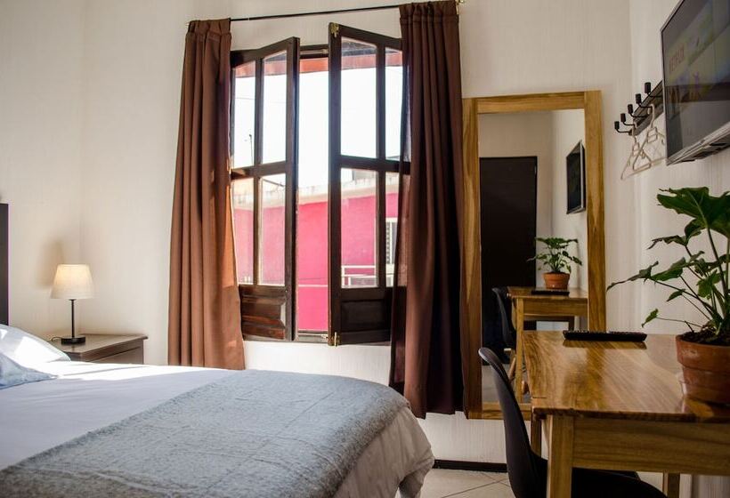 기본룸, Estacion Alameda