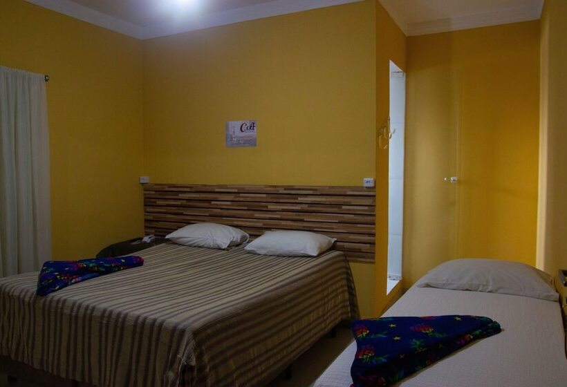 スタンダードルーム, Colt