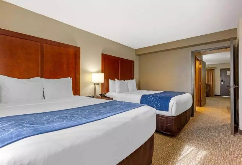 スイート, Comfort Suites Fredericksburg South