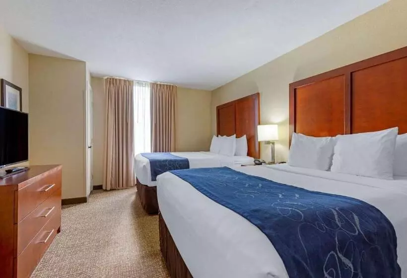 スイート, Comfort Suites Fredericksburg South