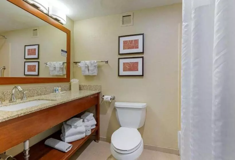 スイート, Comfort Suites Fredericksburg South