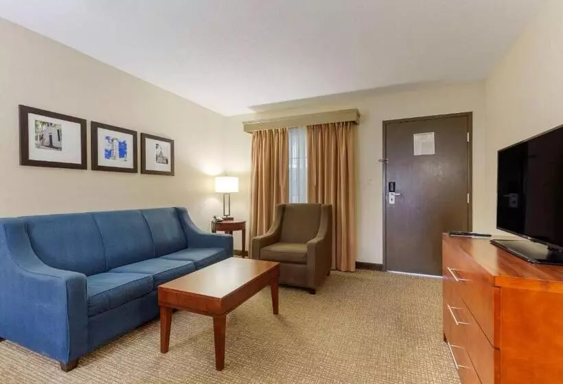 スイート, Comfort Suites Fredericksburg South