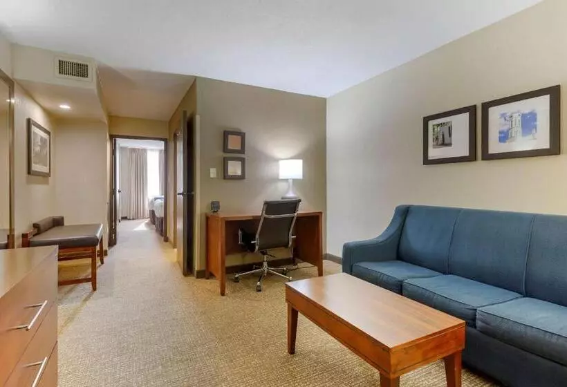 スイート, Comfort Suites Fredericksburg South