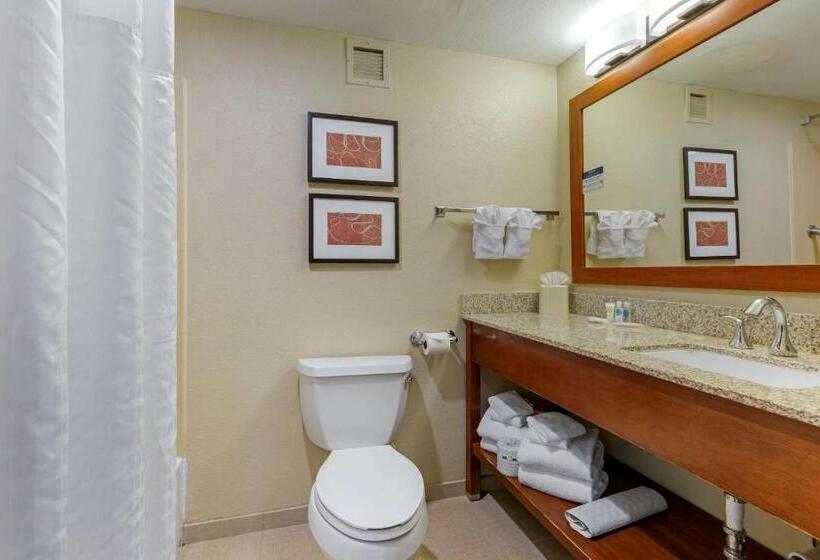 Люкс Кровать Кинг, Comfort Suites Fredericksburg South