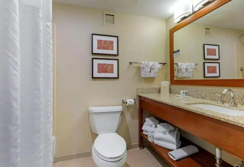 キングサイズベッドのスイートルーム, Comfort Suites Fredericksburg South