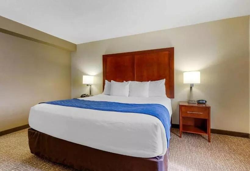 キングサイズベッドのスイートルーム, Comfort Suites Fredericksburg South