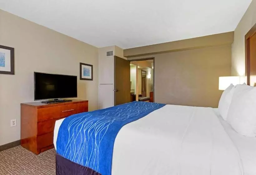 キングサイズベッドのスイートルーム, Comfort Suites Fredericksburg South