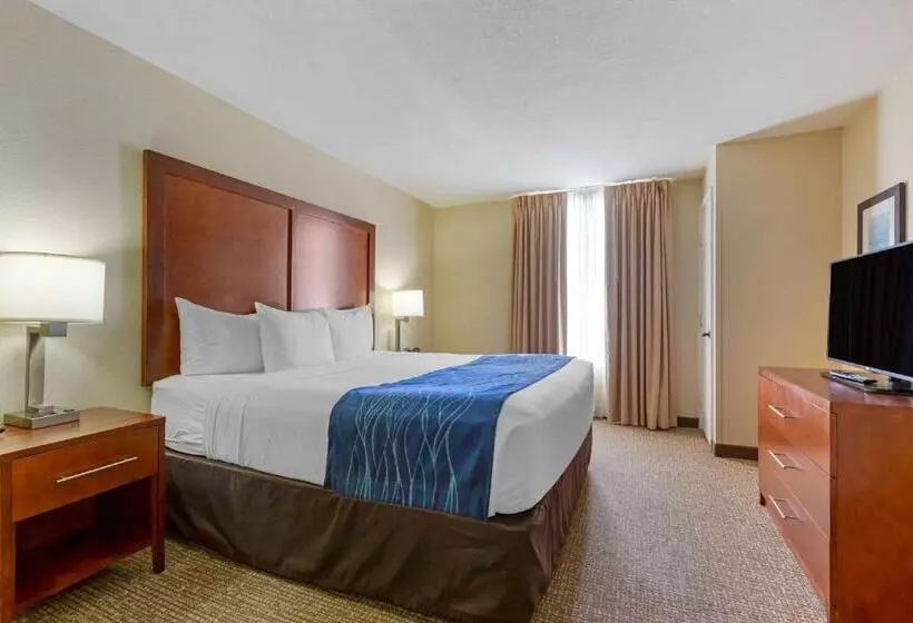 キングサイズベッドのスイートルーム, Comfort Suites Fredericksburg South