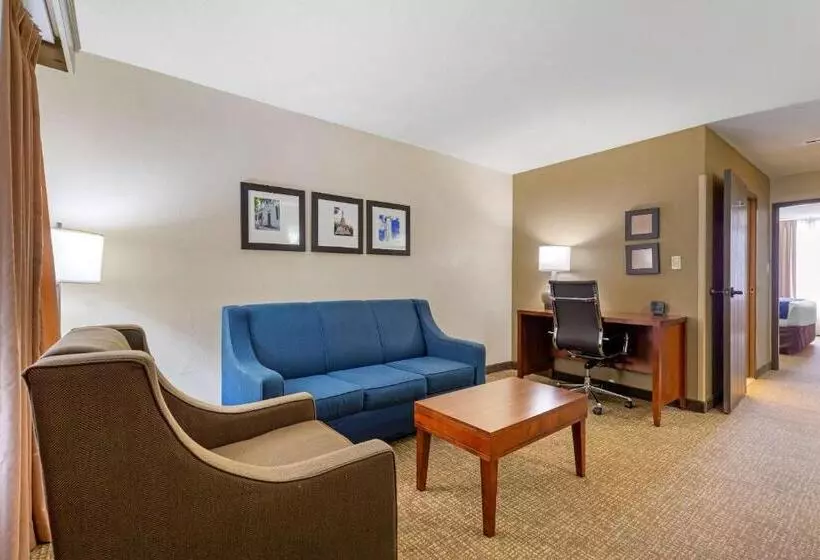 キングサイズベッドのスイートルーム, Comfort Suites Fredericksburg South