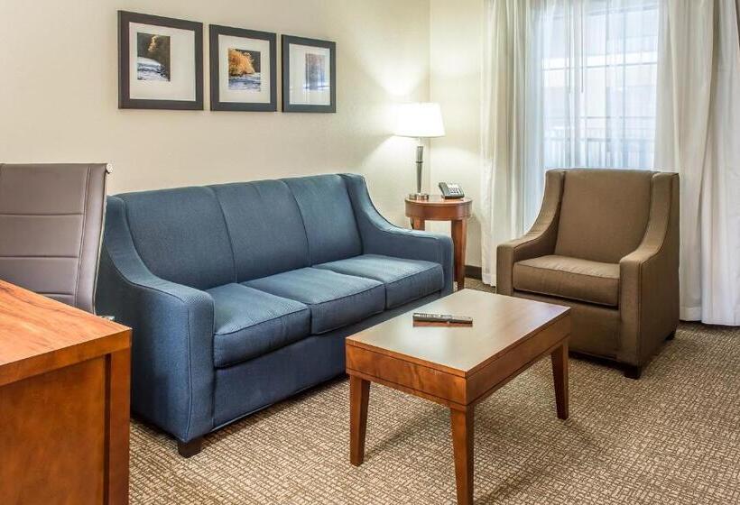 جناح لذوى الاحتياجات الخاصة, Comfort Suites Fredericksburg South
