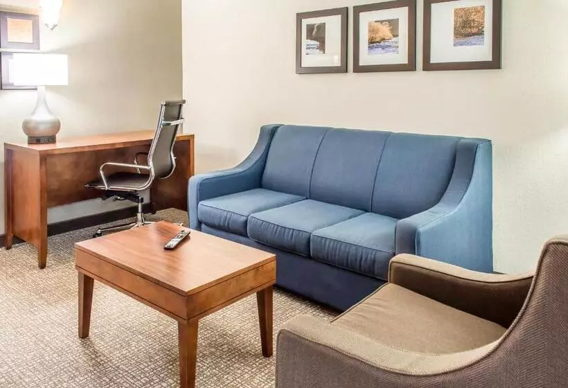 身障者適用スイートルーム, Comfort Suites Fredericksburg South