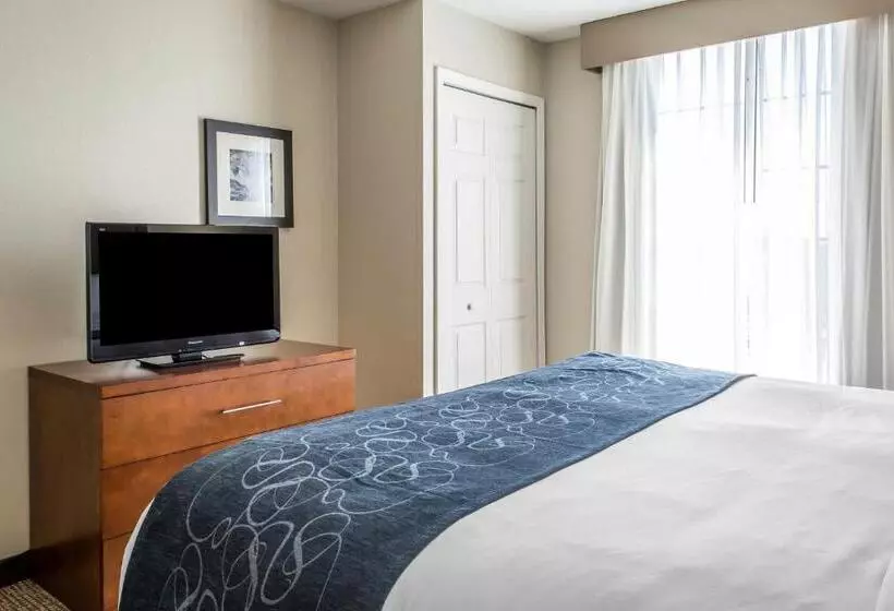 身障者適用スイートルーム, Comfort Suites Fredericksburg South