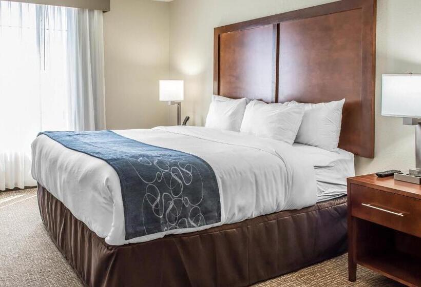 Люкс Адаптированный для Инвалидов, Comfort Suites Fredericksburg South