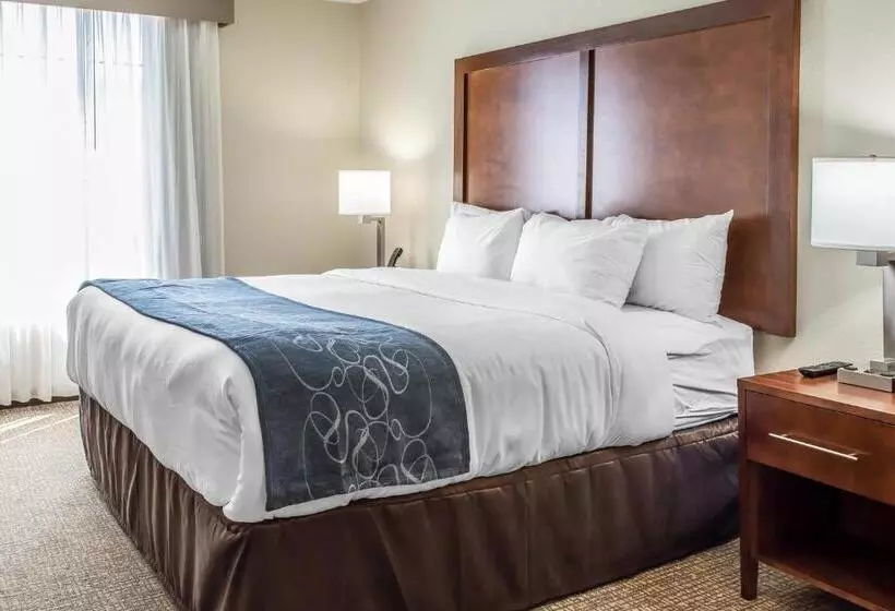 身障者適用スイートルーム, Comfort Suites Fredericksburg South