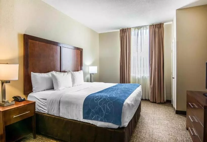 身障者適用スイートルーム, Comfort Suites Fredericksburg South