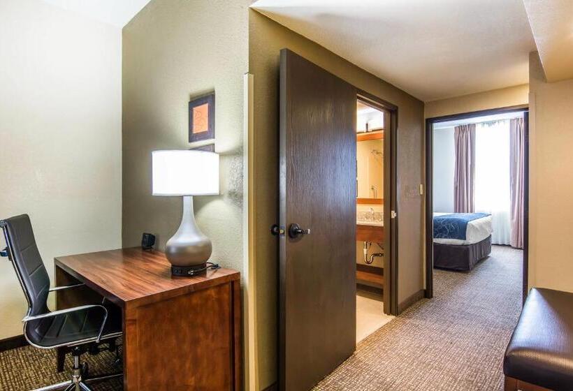 جناح لذوى الاحتياجات الخاصة, Comfort Suites Fredericksburg South