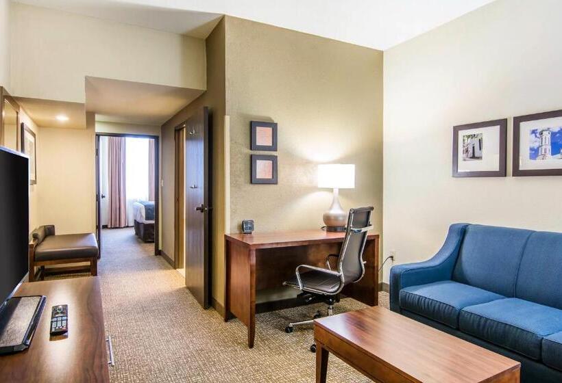 Люкс Адаптированный для Инвалидов, Comfort Suites Fredericksburg South
