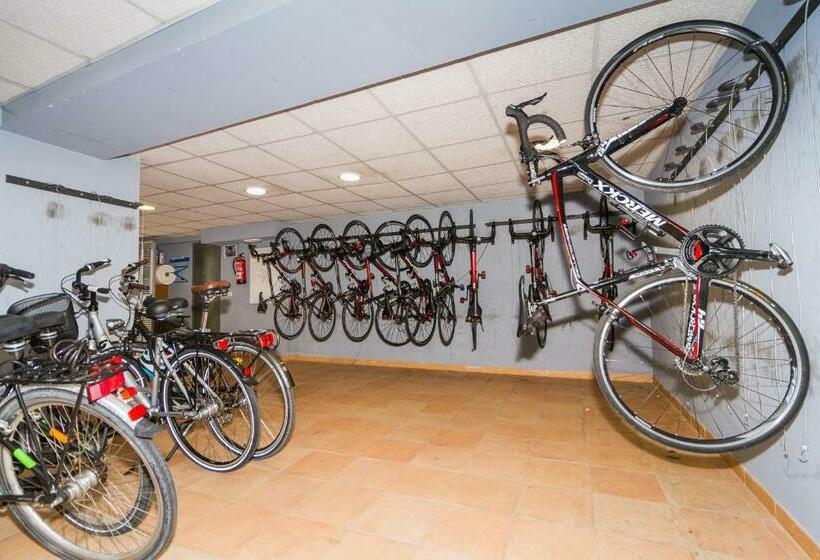 Номер Стандарт Индивидуальный, Eix Alcudia Hotel Adults Only