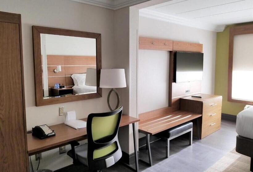 장애인을 위한 킹사이즈 침대 스탠다드 룸, Holiday Inn Express Columbia Ne   Fort Jackson