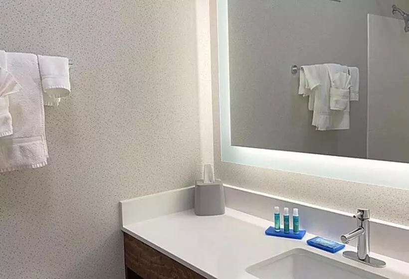 身障者適用キングサイズベッドルーム, Holiday Inn Express Columbia Ne   Fort Jackson