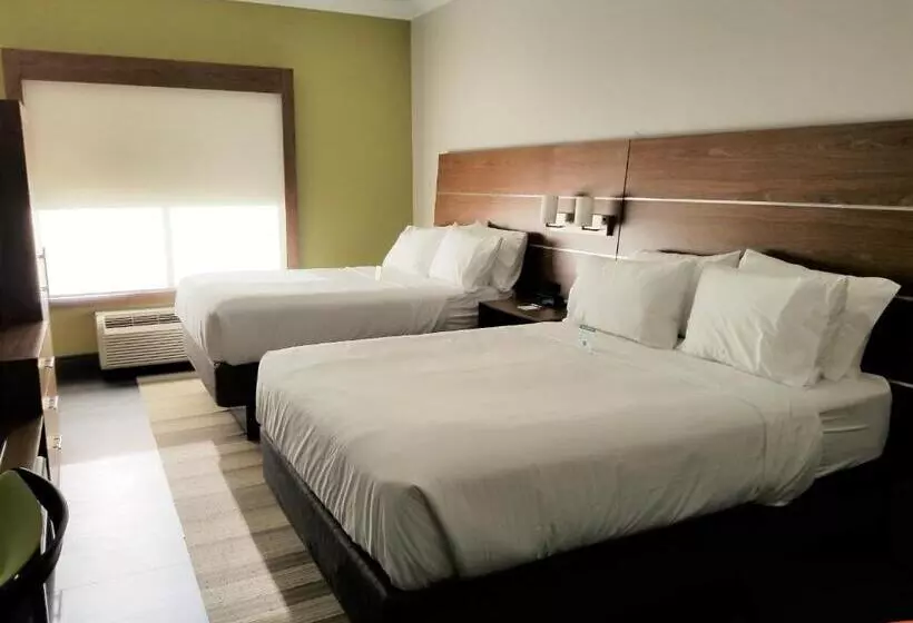 身障者適用スタンダードルーム, Holiday Inn Express Columbia Ne   Fort Jackson