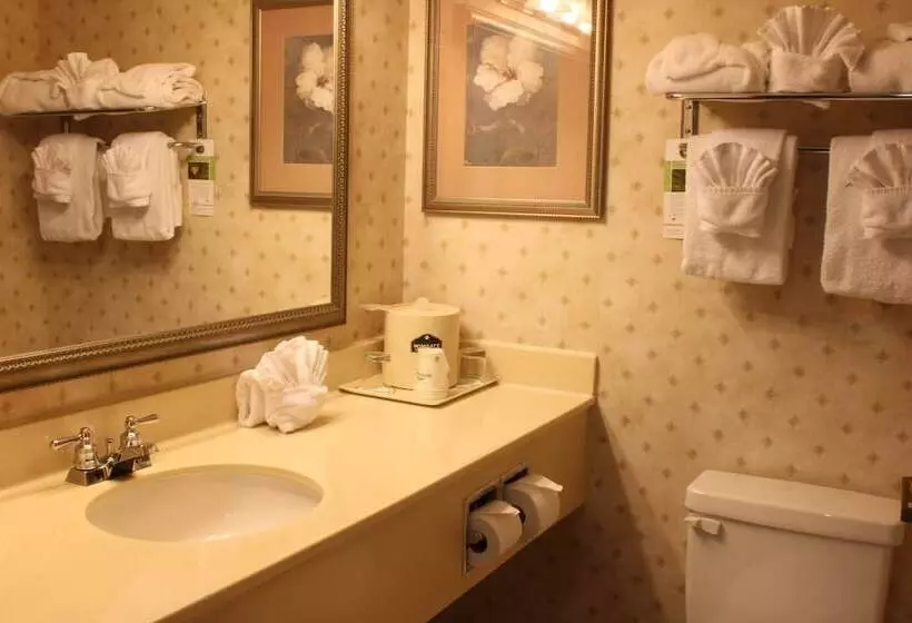 ２ダブルベッドのスタンダードルーム, Wingate By Wyndham Atlanta Duluth