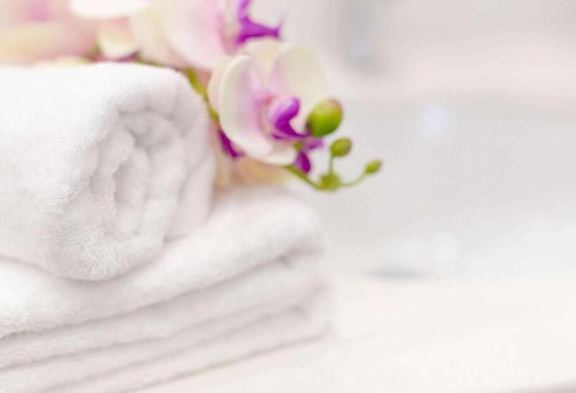 带大床的标准间, Windmill Inn Lynden