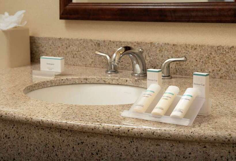 标准间, Hilton Orlando Buena Vista Palace   Disney Springs® Area