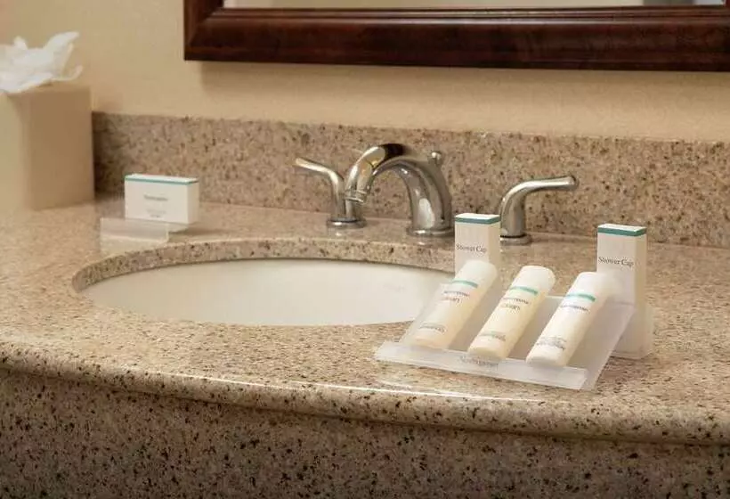 اتاق استاندارد, Hilton Orlando Buena Vista Palace   Disney Springs® Area
