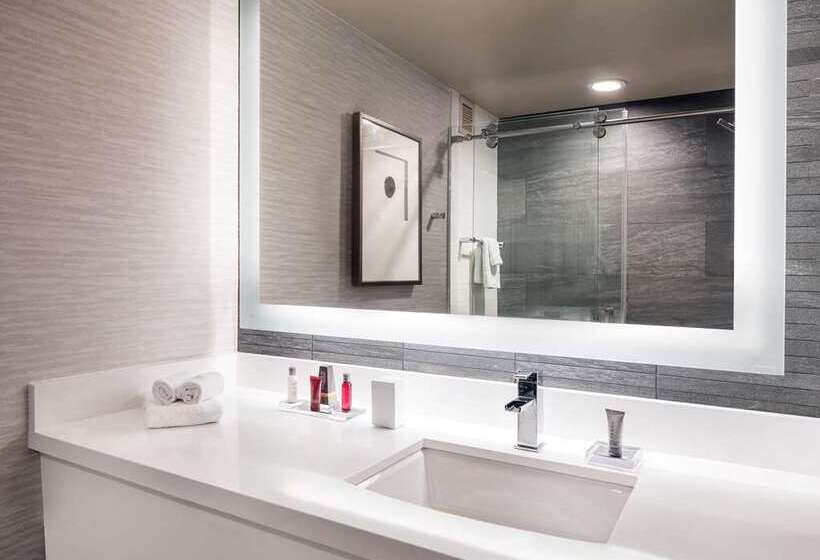 带观景的标准间, Hilton Orlando Buena Vista Palace   Disney Springs® Area