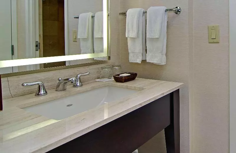 سوئیت با تخت بزرگ, Hilton Orlando Buena Vista Palace   Disney Springs® Area