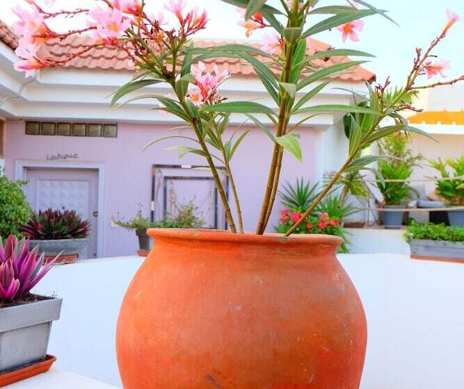 آپارتمان 2 خوابه, La Demeure