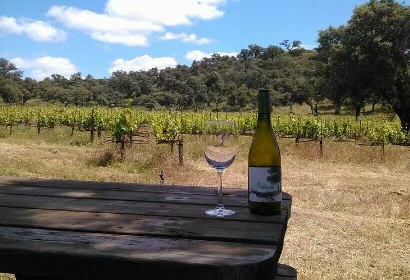 Номер Стандарт, Maestranza