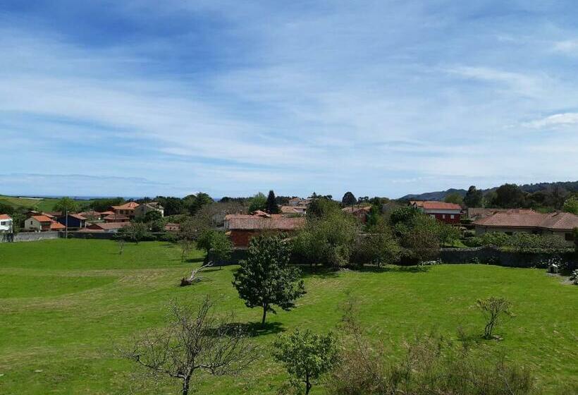 غرفة قياسية فردية, Hontoria