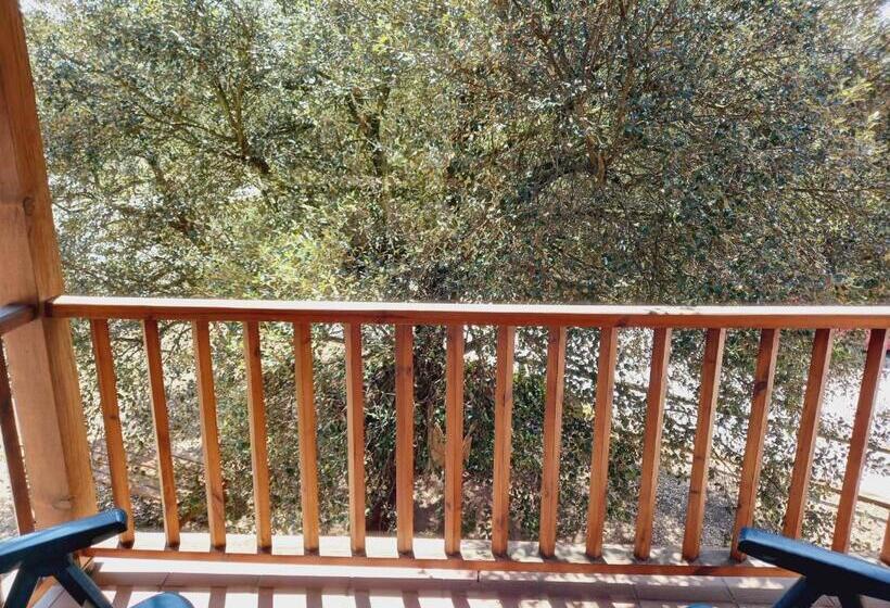 Номер Стандарт, Seva