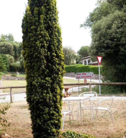 Семейный Номер, Seva