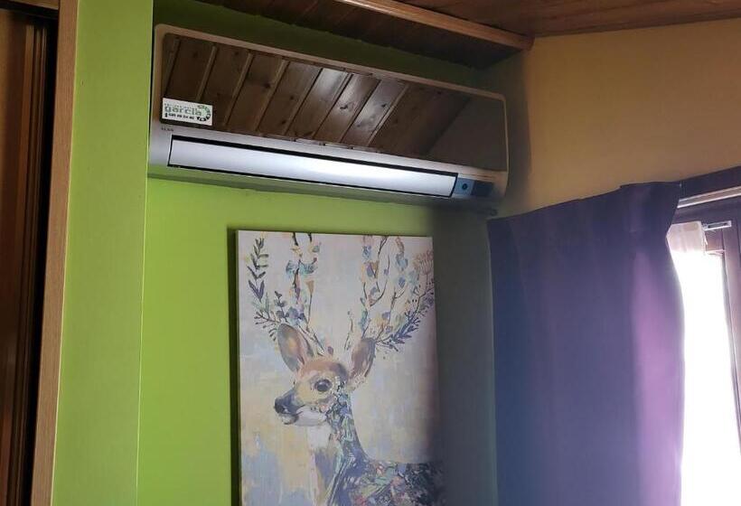 Номер Superior с Видом, Virginia R.h