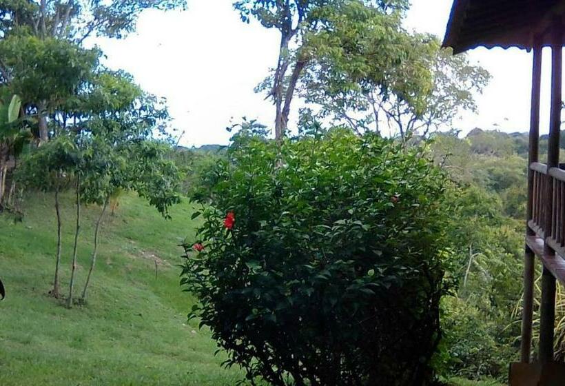 اتاق استاندارد با تخت بزرگ, Soul Fire Casitas