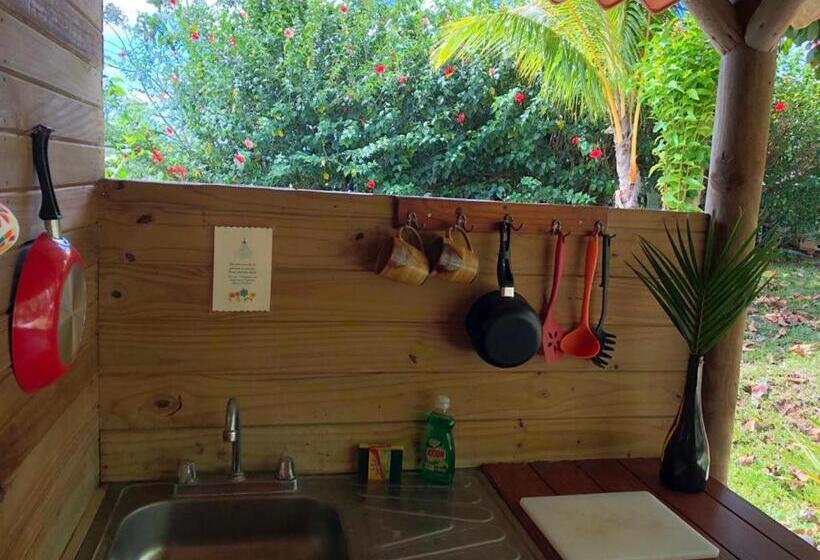 اتاق استاندارد با تخت بزرگ, Soul Fire Casitas