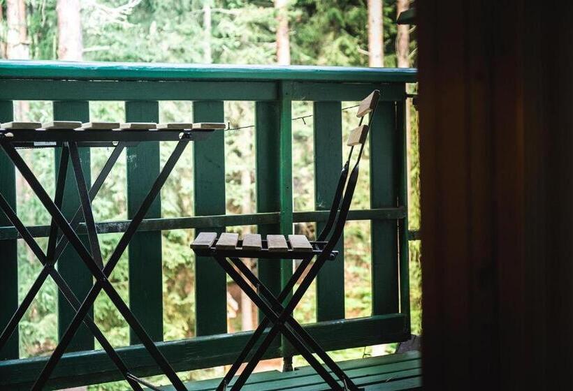 חדר סטנדרט עם מרפסת, Kouty